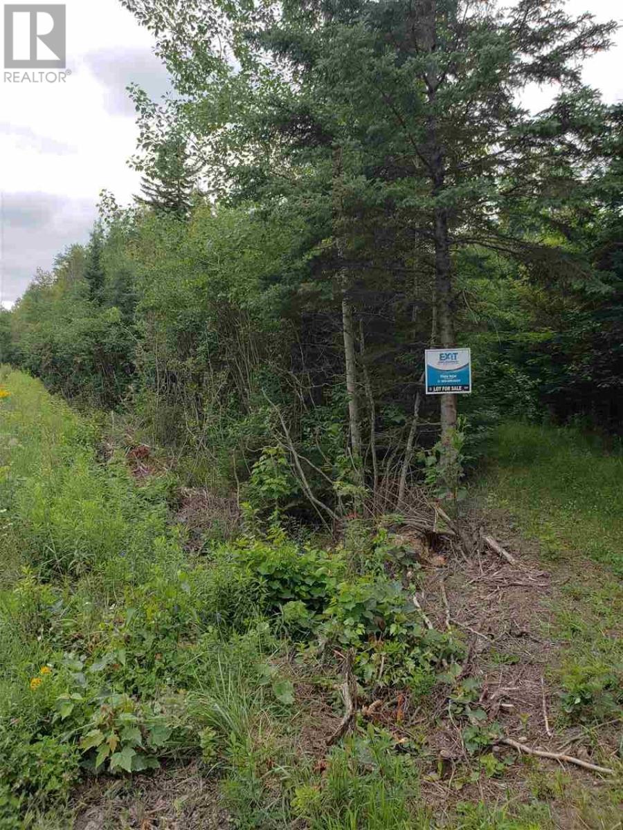 Cole Road, Meaghers Grant, Nova Scotia  B0N 1V0 - Photo 1 - 202000040