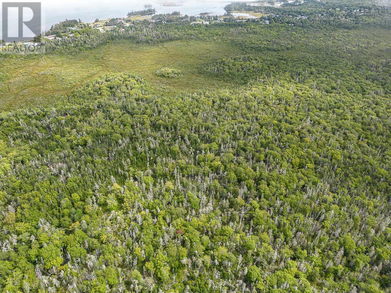 Lot Stoney Island Road, Clam Point, Nova Scotia  B0W 3J0 - Photo 10 - 202109114