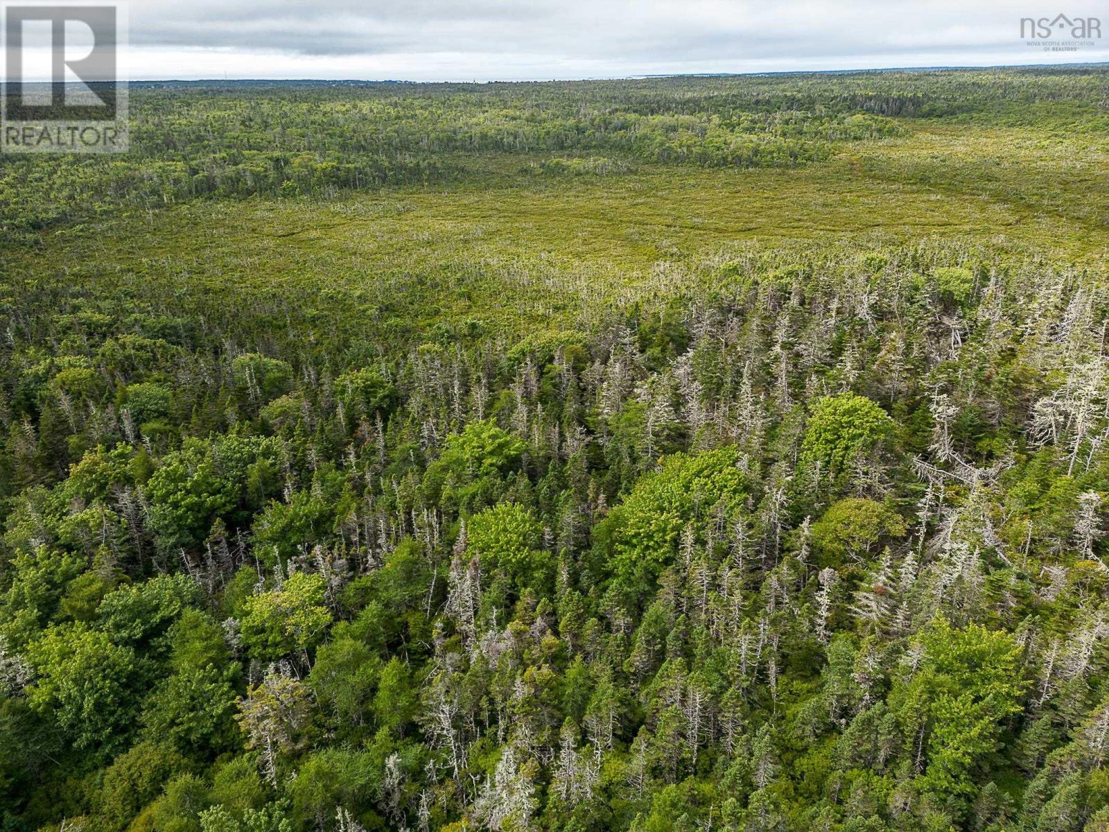 Lot Stoney Island Road, Clam Point, Nova Scotia  B0W 3J0 - Photo 6 - 202109114