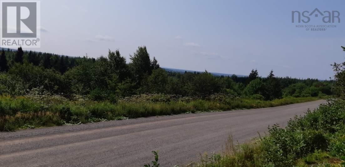 Lot Salem Road, Enon, Nova Scotia  B1J 1W1 - Photo 2 - 202203649