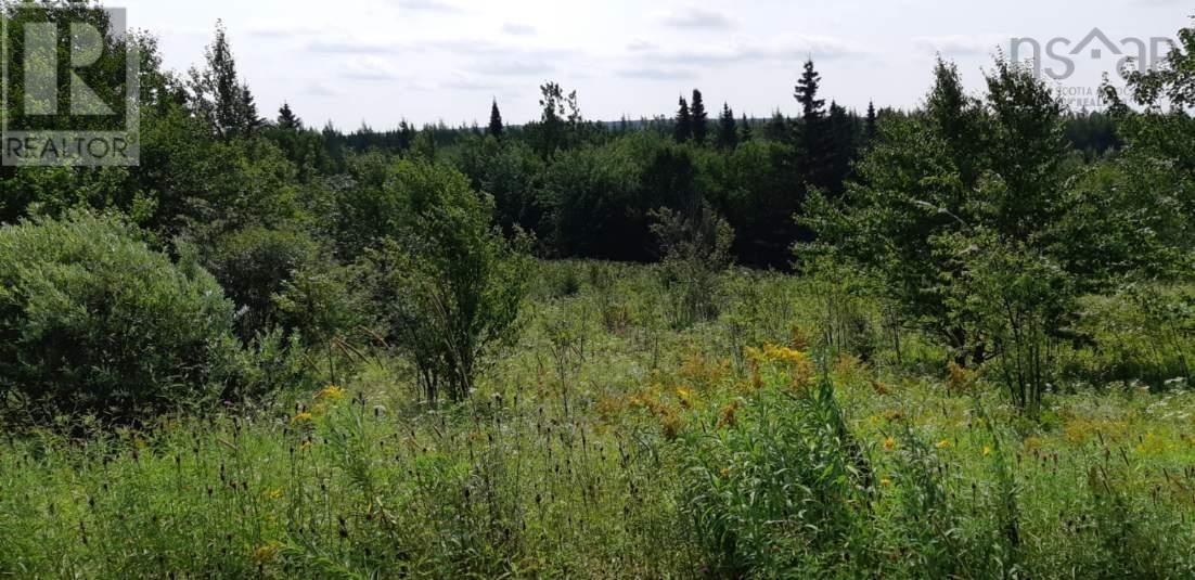 Lot Salem Road, Enon, Nova Scotia  B1J 1W1 - Photo 3 - 202203649