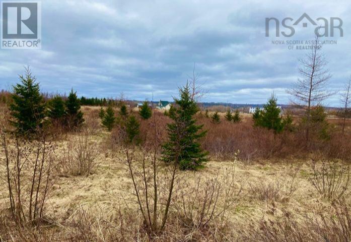 Lot 99 North Shore Road, East Wallace, Nova Scotia  B0K 1E0 - Photo 4 - 202208290