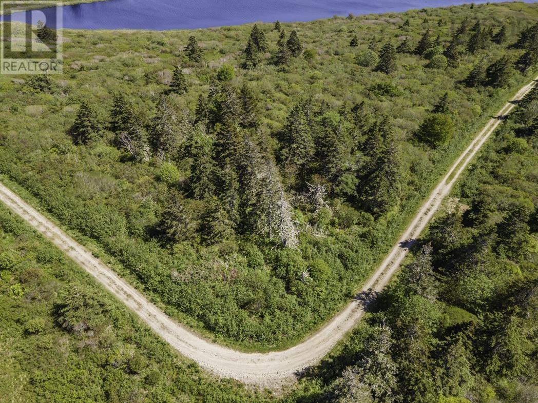 Lot 4 Highway 1, Beaver River, Nova Scotia  B5A 4A6 - Photo 12 - 202212612