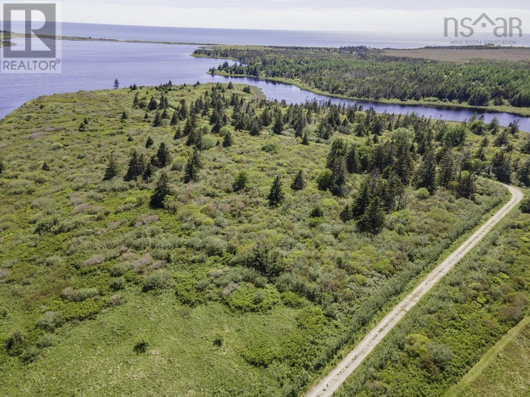 Lot 4 Highway 1, Beaver River, Nova Scotia  B5A 4A6 - Photo 13 - 202212612