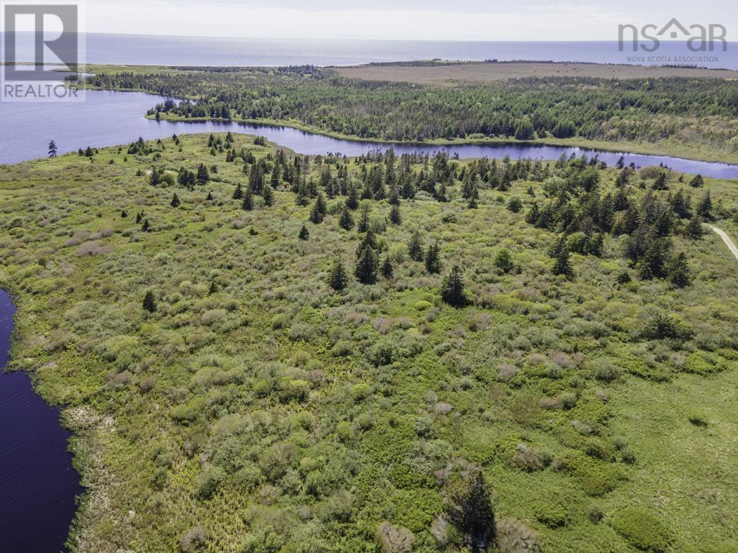 Lot 5 Highway 1, Beaver River, Nova Scotia  B5A 4A6 - Photo 3 - 202212873