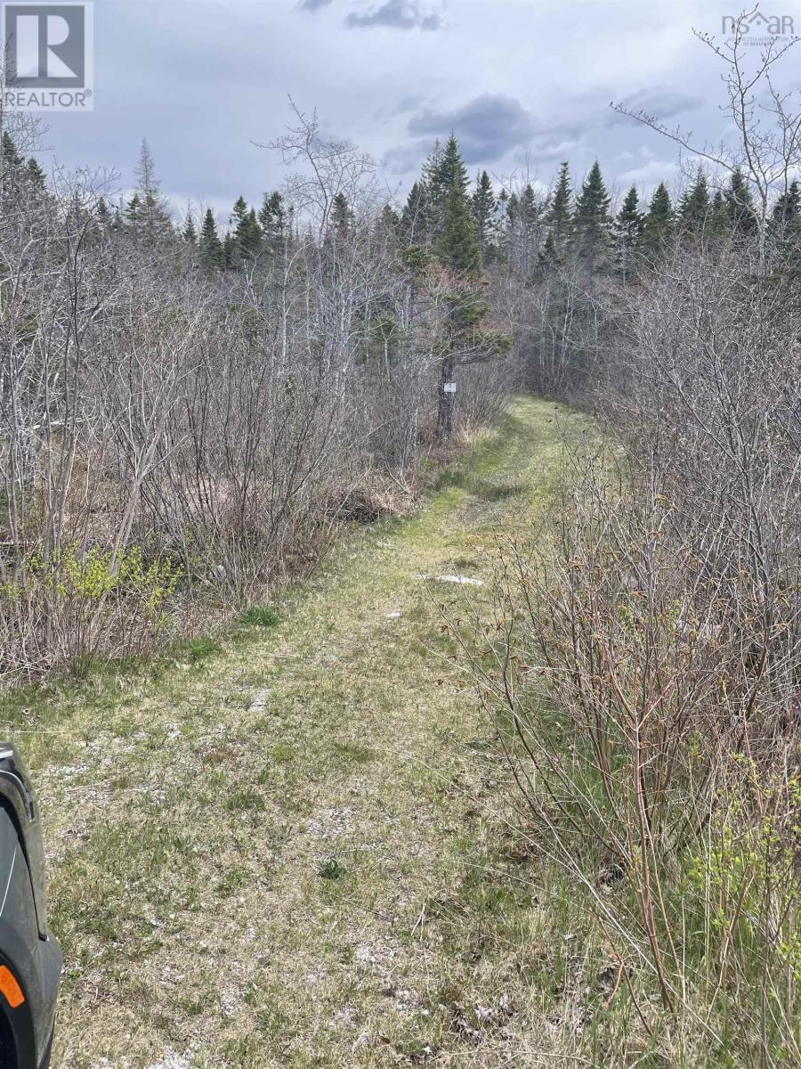 Lot 5f Highway 329, East River, Nova Scotia  B0J 1T0 - Photo 13 - 202216340