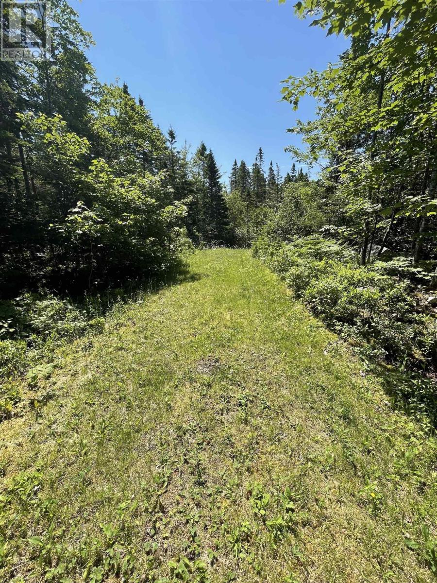 Lot 5f Highway 329, East River, Nova Scotia  B0J 1T0 - Photo 30 - 202216340