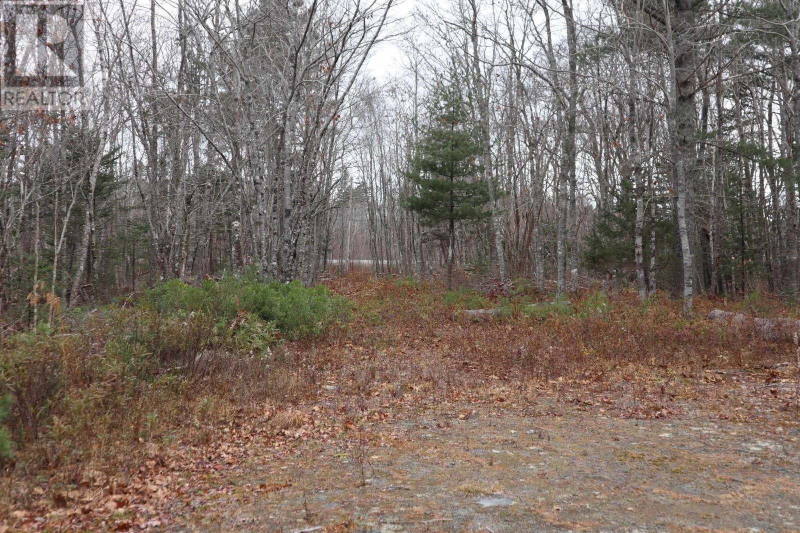 Lot 15 Old Port Mouton Road, White Point, Nova Scotia  B0T 1K0 - Photo 2 - 202216506