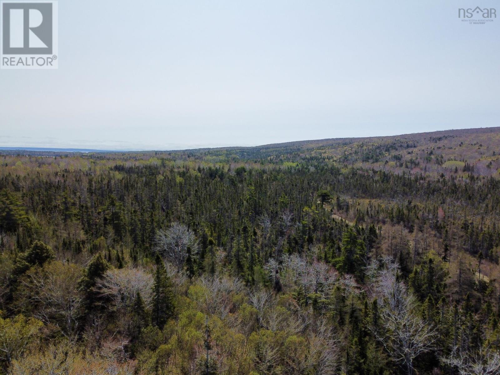 Lot 63 Marble Mountain Road, Malagawatch, Nova Scotia  B0E 2Y0 - Photo 3 - 202218935