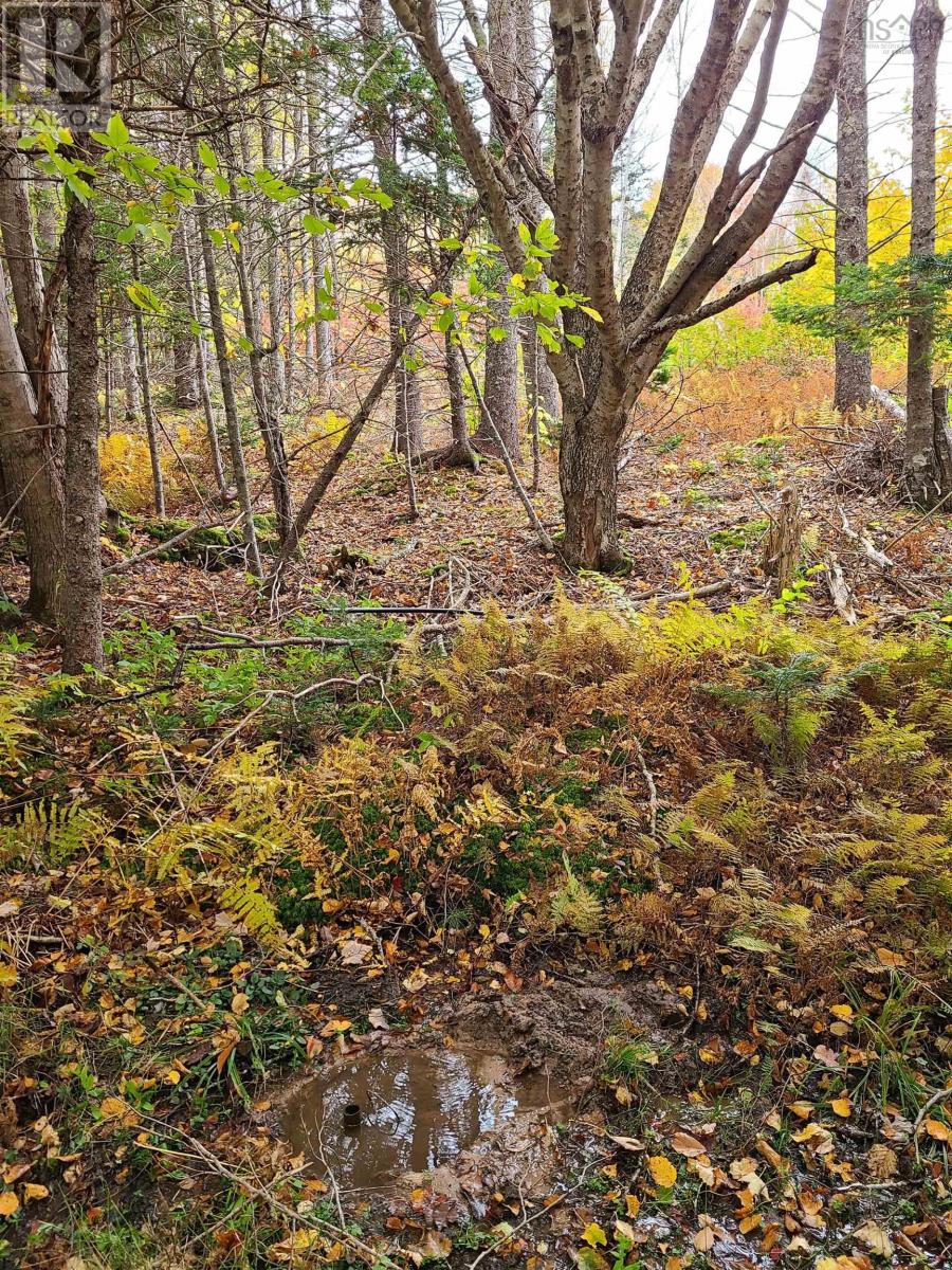 Lot 1 Lakeview Drive, Scotsville, Nova Scotia  B0E 3M0 - Photo 24 - 202219748