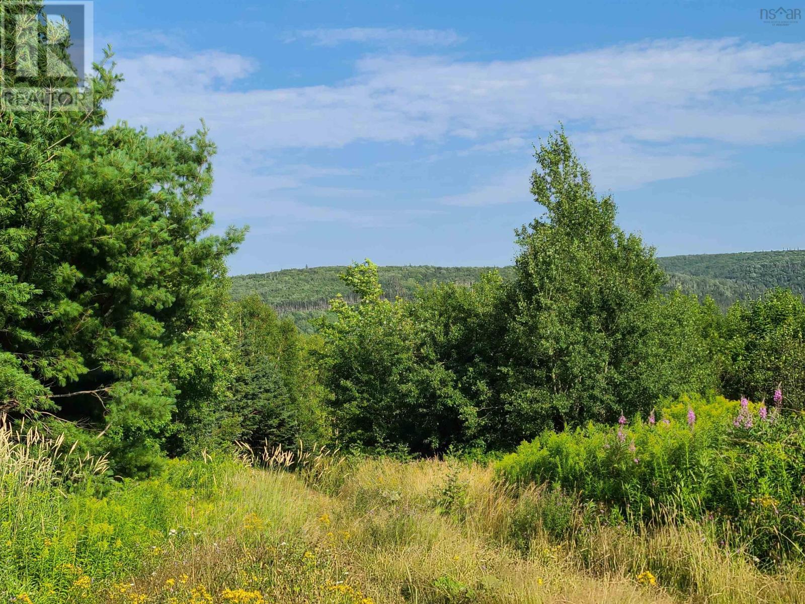 Lot 1 Lakeview Drive, Scotsville, Nova Scotia  B0E 3M0 - Photo 5 - 202219748