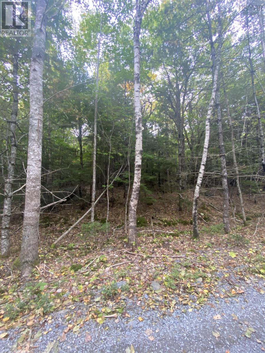 Lot 56 Ponhook View Drive, Labelle, Nova Scotia  B0T 1E0 - Photo 8 - 202223138