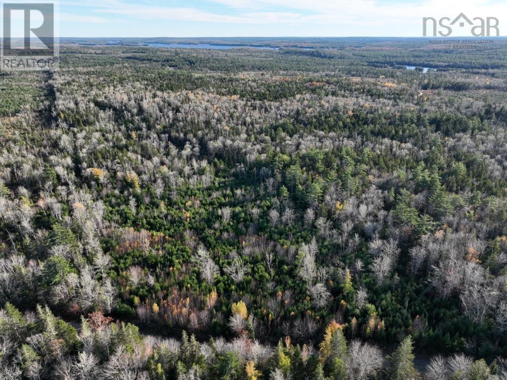 Lots Victory Road, Victory, Nova Scotia  B0S 1B0 - Photo 2 - 202225167