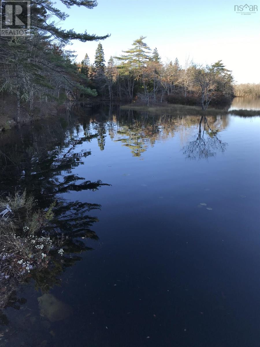 Lot John Murray Road, Belleville South, Nova Scotia  B0W 3M0 - Photo 2 - 202226669