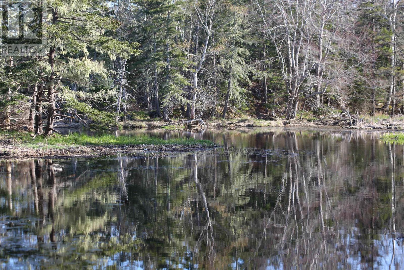 Lot 4 Brooklyn Shores Road, brooklyn, Nova Scotia