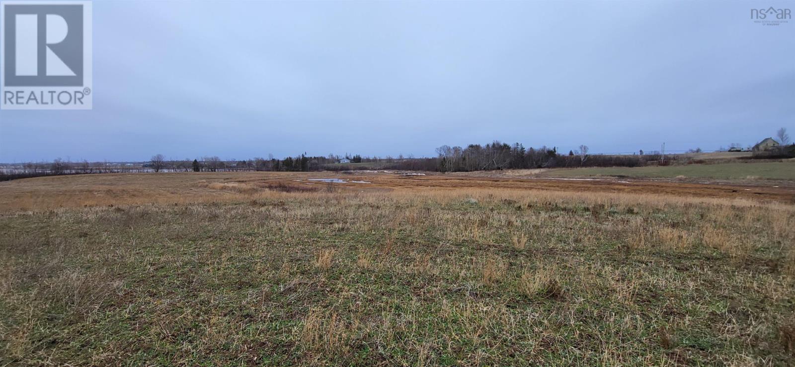 40+ Acres 6 Highway, Brule, Nova Scotia  B0K 1V0 - Photo 11 - 202227573