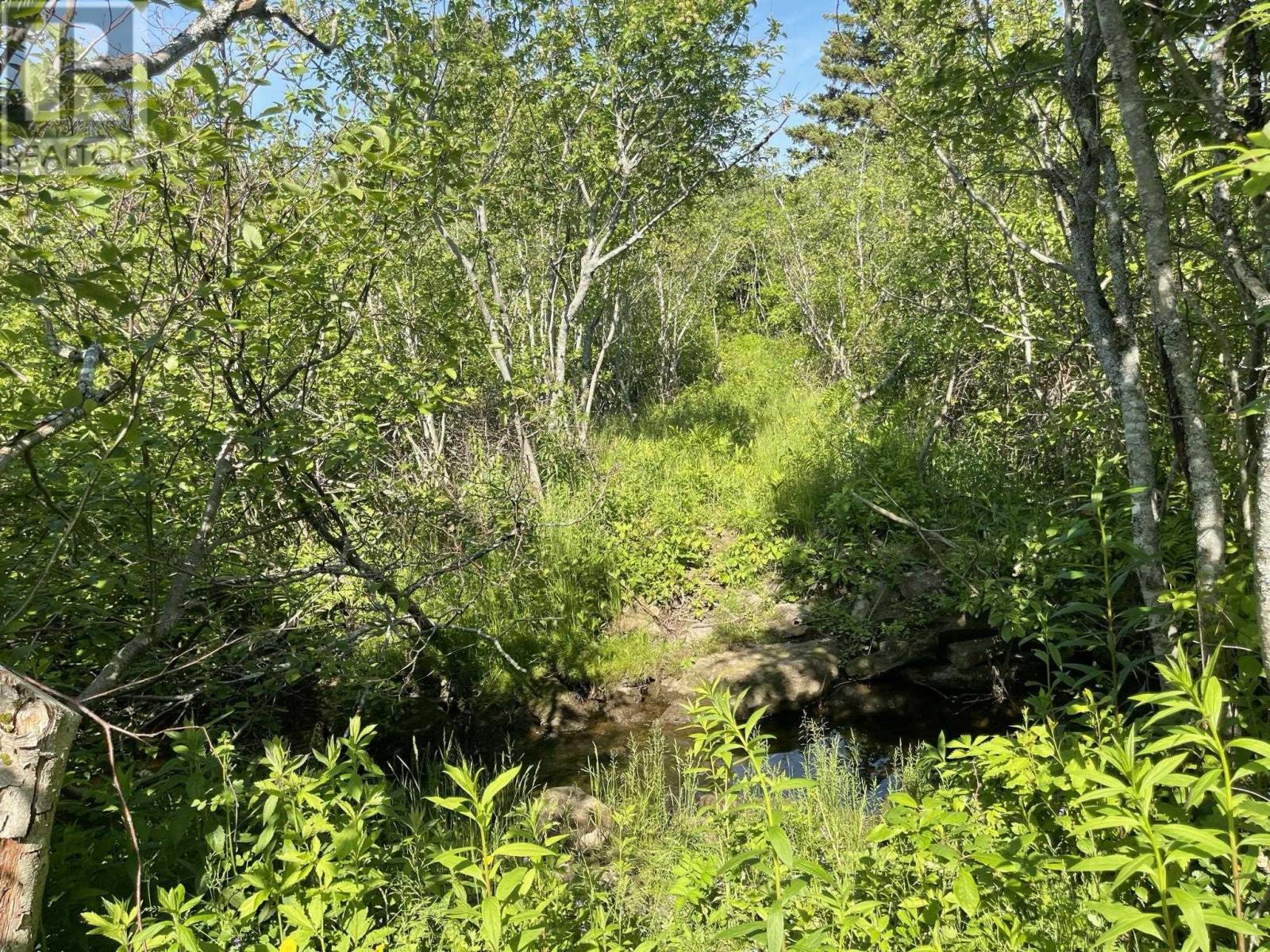 Lot New Road, West Havre Boucher, Nova Scotia  B0H 1P0 - Photo 4 - 202227585