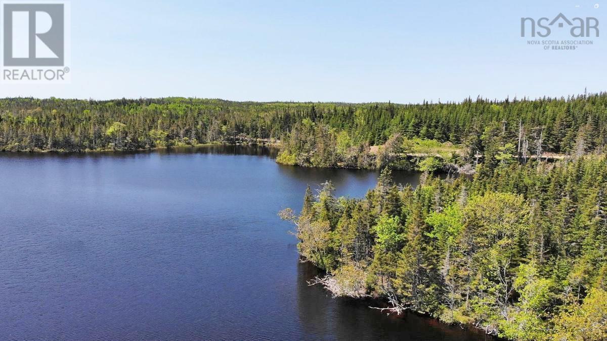 398 Acres Salmon River Road, Garrets Lake, L'ardoise, Nova Scotia  B0E 3B0 - Photo 10 - 202300909