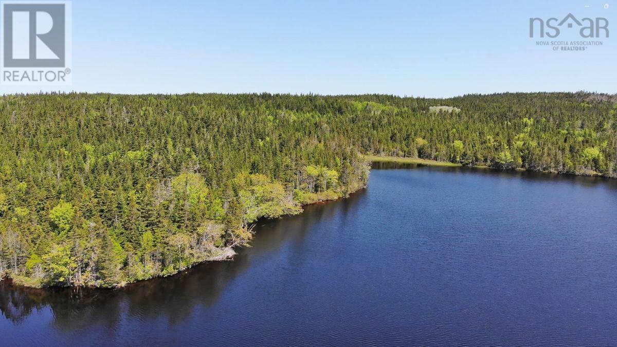 398 Acres Salmon River Road, Garrets Lake, L'ardoise, Nova Scotia  B0E 3B0 - Photo 11 - 202300909