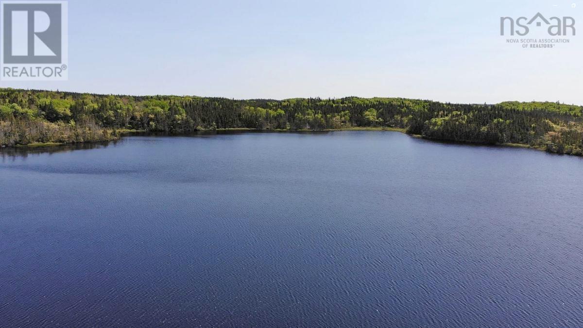 398 Acres Salmon River Road, Garrets Lake, L'ardoise, Nova Scotia  B0E 3B0 - Photo 12 - 202300909