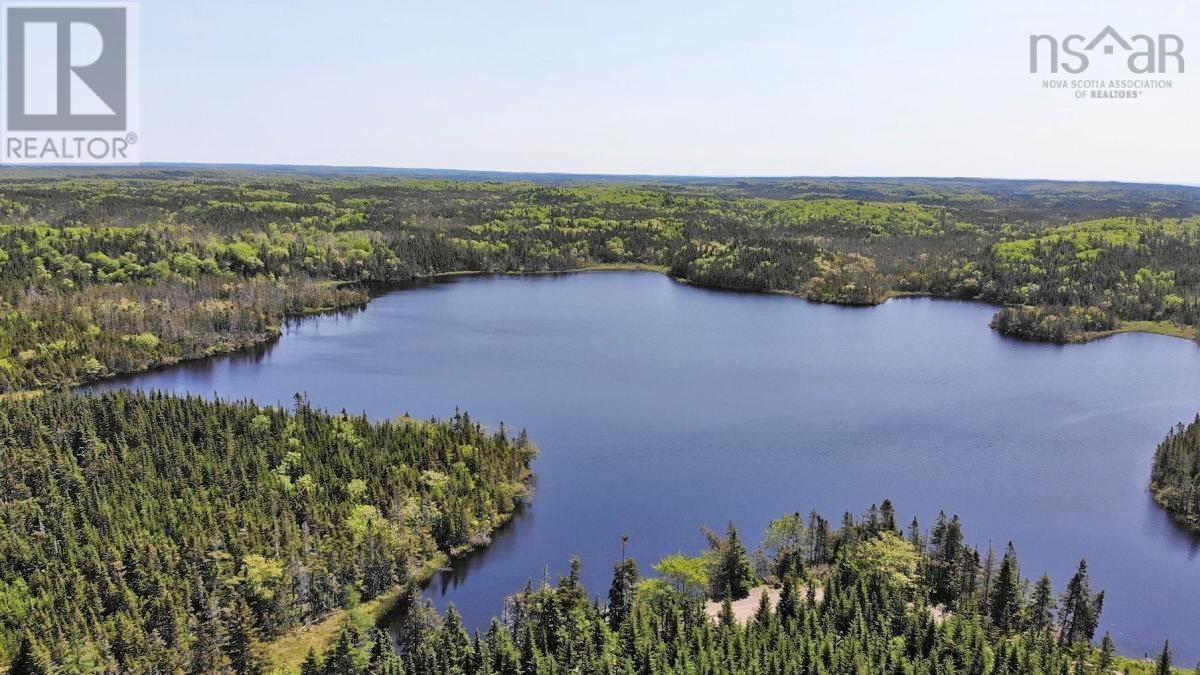 398 Acres Salmon River Road, Garrets Lake, L'ardoise, Nova Scotia  B0E 3B0 - Photo 14 - 202300909