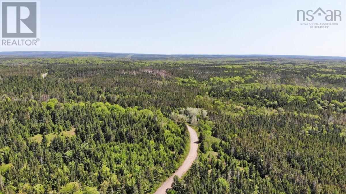 398 Acres Salmon River Road, Garrets Lake, L'ardoise, Nova Scotia  B0E 3B0 - Photo 18 - 202300909