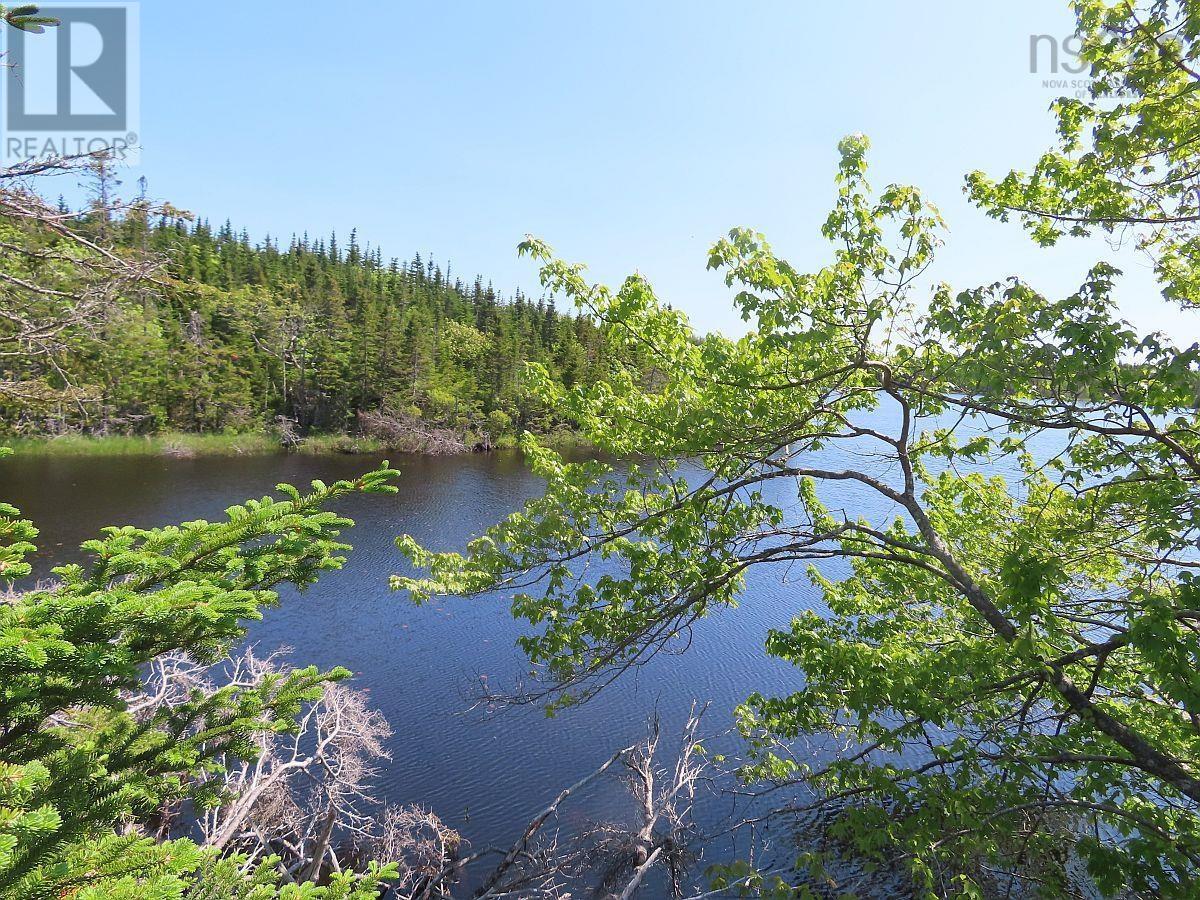 398 Acres Salmon River Road, Garrets Lake, L'ardoise, Nova Scotia  B0E 3B0 - Photo 19 - 202300909