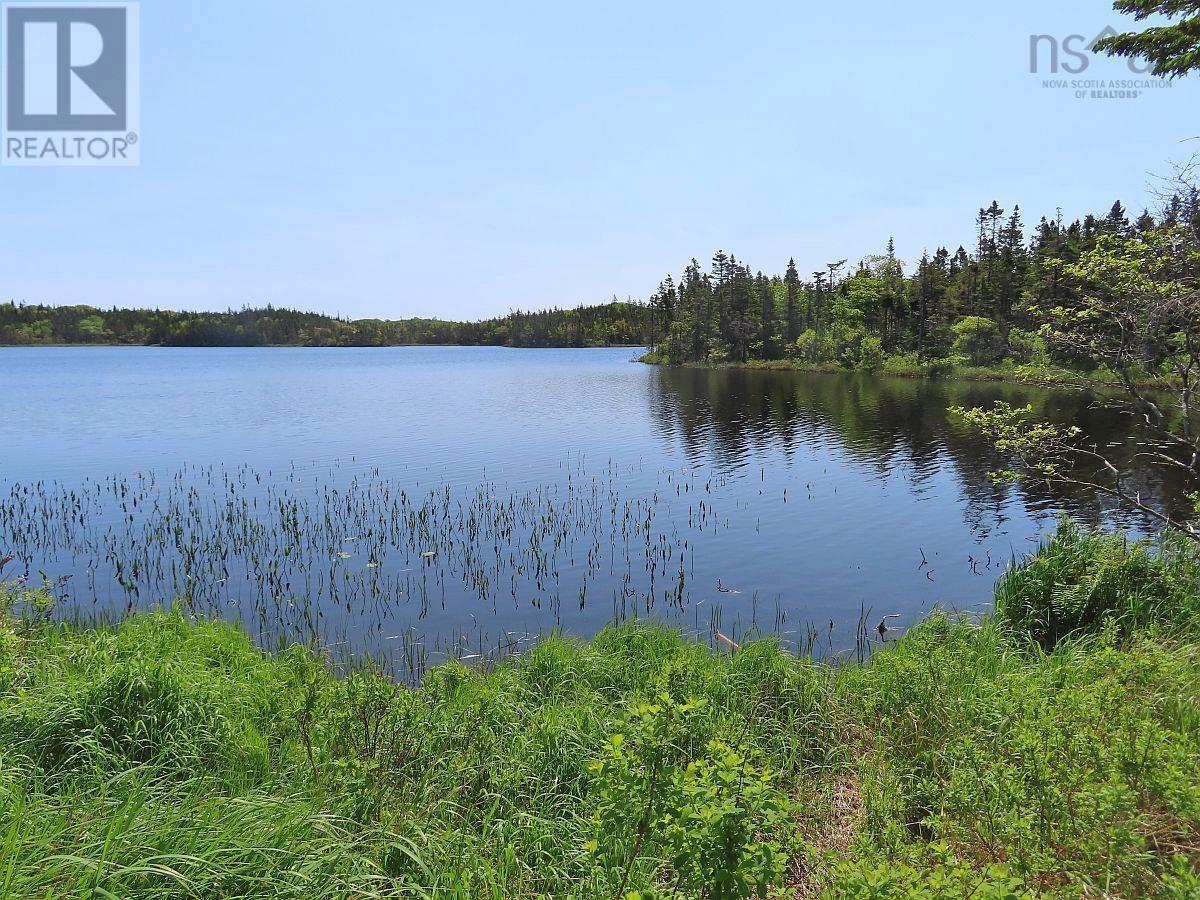 398 Acres Salmon River Road, Garrets Lake, L'ardoise, Nova Scotia  B0E 3B0 - Photo 20 - 202300909