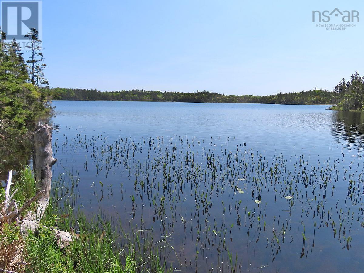 398 Acres Salmon River Road, Garrets Lake, L'ardoise, Nova Scotia  B0E 3B0 - Photo 21 - 202300909