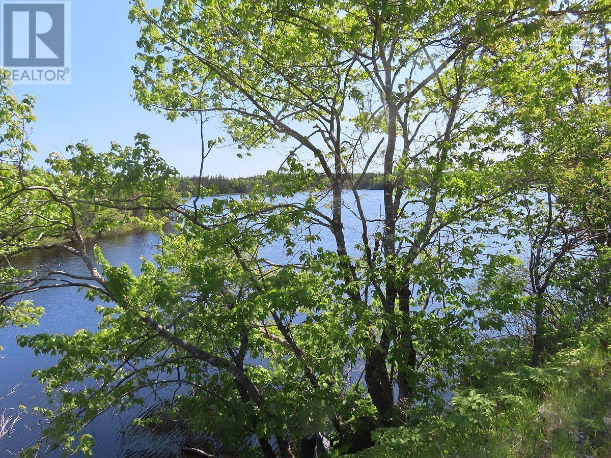 398 Acres Salmon River Road, Garrets Lake, L'ardoise, Nova Scotia  B0E 3B0 - Photo 22 - 202300909