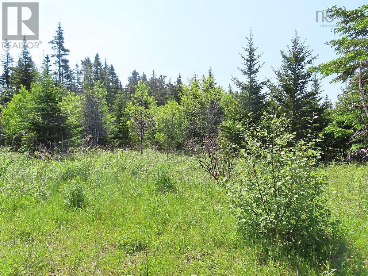 398 Acres Salmon River Road, Garrets Lake, L'ardoise, Nova Scotia  B0E 3B0 - Photo 23 - 202300909