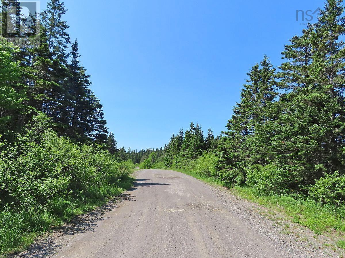 398 Acres Salmon River Road, Garrets Lake, L'ardoise, Nova Scotia  B0E 3B0 - Photo 24 - 202300909