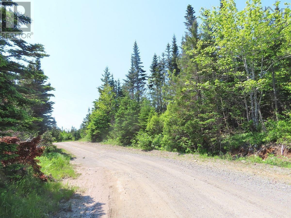 398 Acres Salmon River Road, Garrets Lake, L'ardoise, Nova Scotia  B0E 3B0 - Photo 25 - 202300909