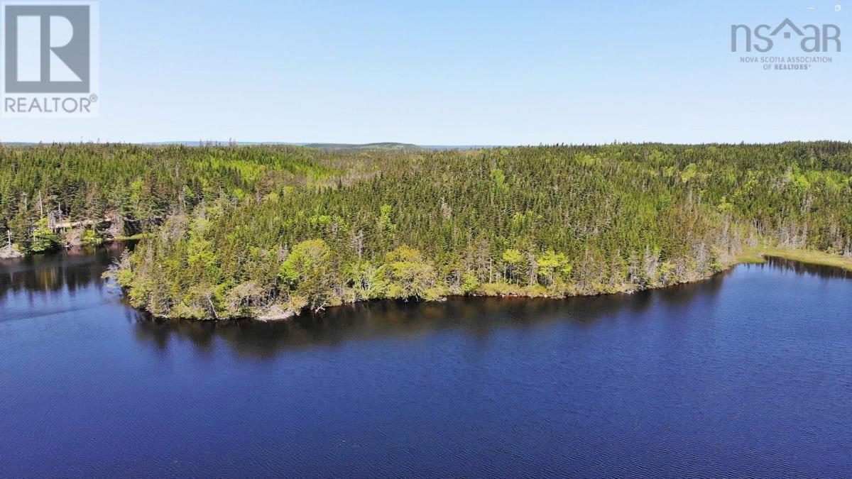 398 Acres Salmon River Road, Garrets Lake, L'ardoise, Nova Scotia  B0E 3B0 - Photo 3 - 202300909