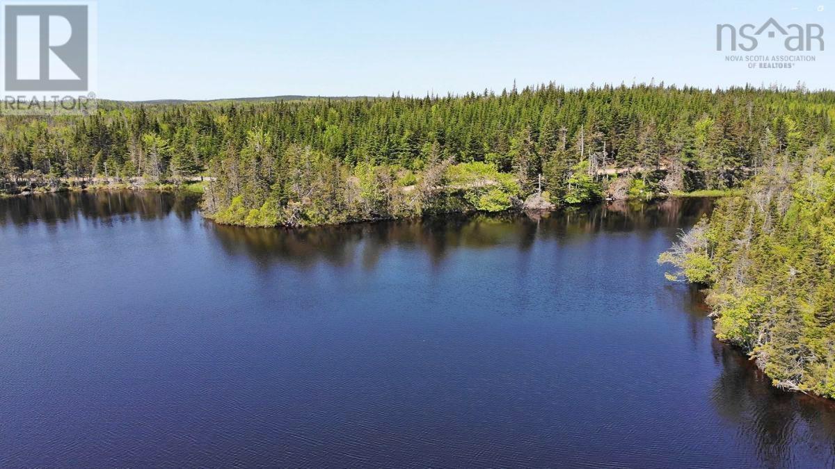 398 Acres Salmon River Road, Garrets Lake, L'ardoise, Nova Scotia  B0E 3B0 - Photo 5 - 202300909