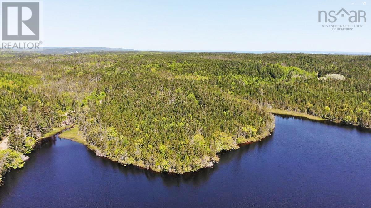 398 Acres Salmon River Road, Garrets Lake, L'ardoise, Nova Scotia  B0E 3B0 - Photo 9 - 202300909