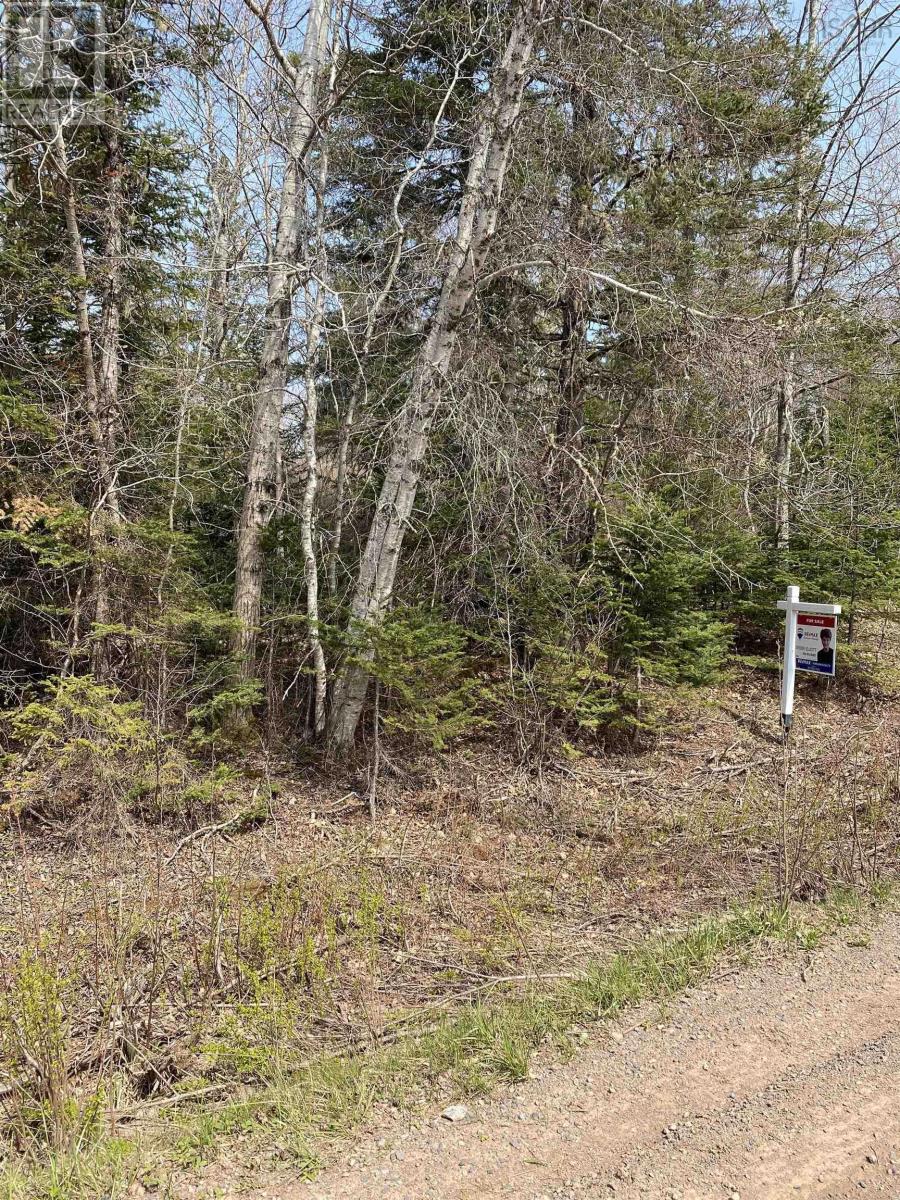 Hunter Road, Lower Wentworth, Nova Scotia  B0M 1Z0 - Photo 1 - 202304923