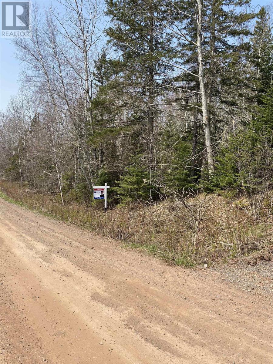 Hunter Road, Lower Wentworth, Nova Scotia  B0M 1Z0 - Photo 2 - 202304923