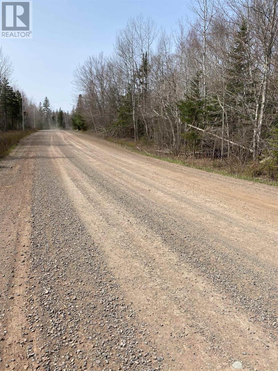 Hunter Road, Lower Wentworth, Nova Scotia  B0M 1Z0 - Photo 4 - 202304923