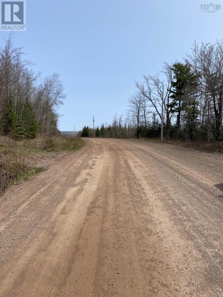 Hunter Road, Lower Wentworth, Nova Scotia  B0M 1Z0 - Photo 5 - 202304923