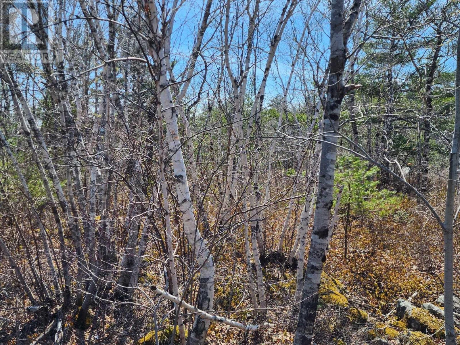 Medway Harbour Road, Mill Village, Nova Scotia  B0J 2H0 - Photo 10 - 202306483