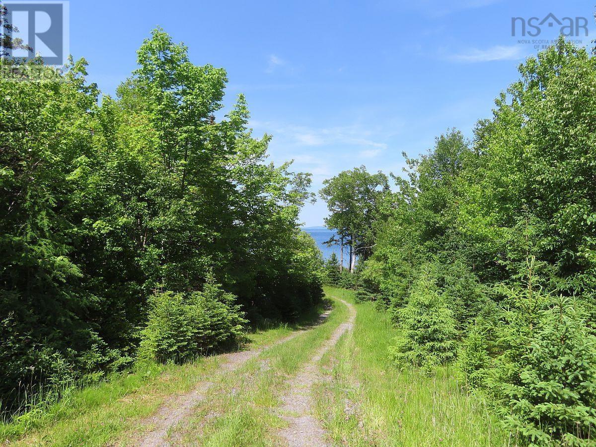 99-5 72 Naturer Dream P Boulevard, Roberta, Nova Scotia  B0E 3B0 - Photo 11 - 202307431