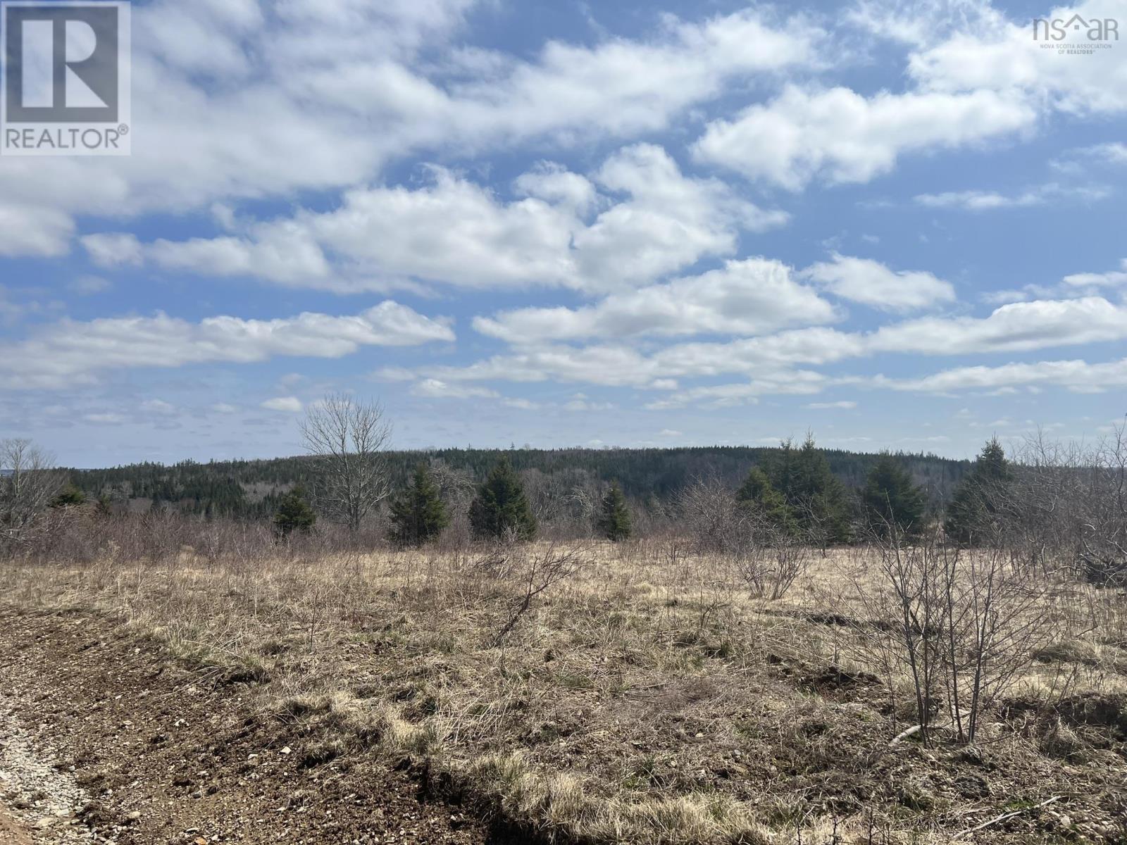 229 Lairg Road, New Lairg, Nova Scotia  B0K 2A0 - Photo 10 - 202307447