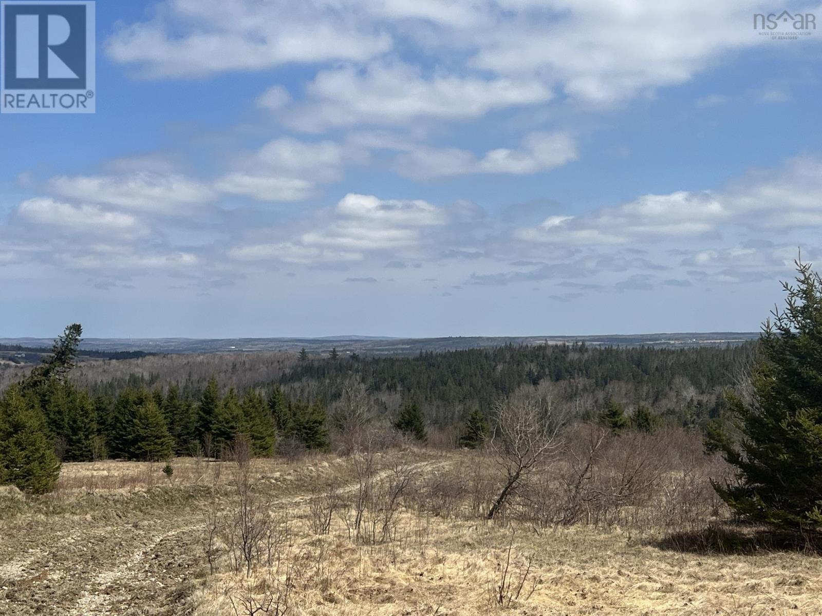 229 Lairg Road, New Lairg, Nova Scotia  B0K 2A0 - Photo 12 - 202307447