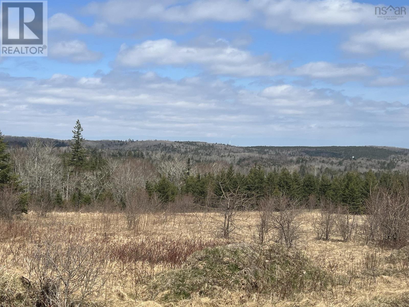 229 Lairg Road, New Lairg, Nova Scotia  B0K 2A0 - Photo 13 - 202307447