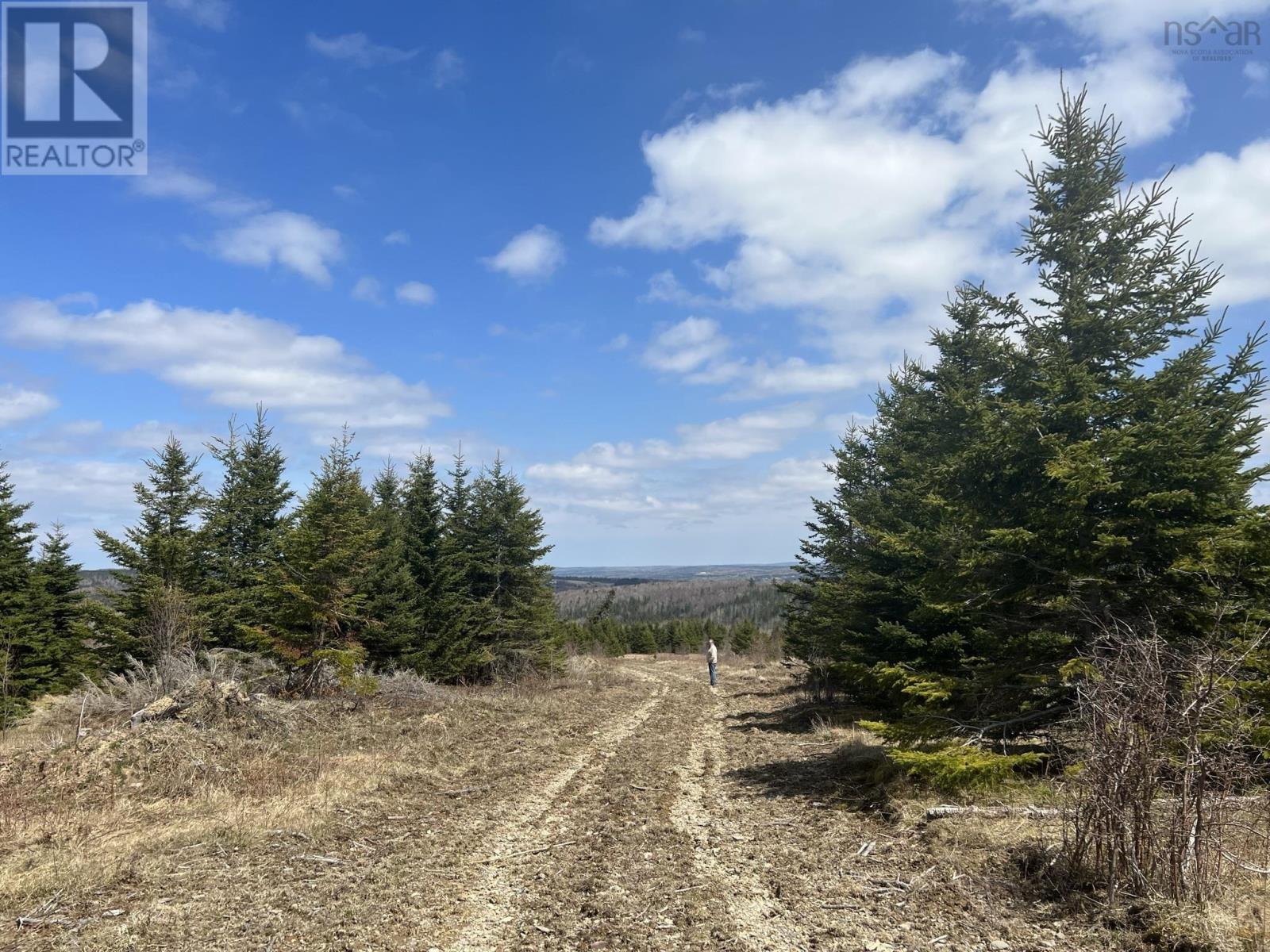 229 Lairg Road, New Lairg, Nova Scotia  B0K 2A0 - Photo 15 - 202307447