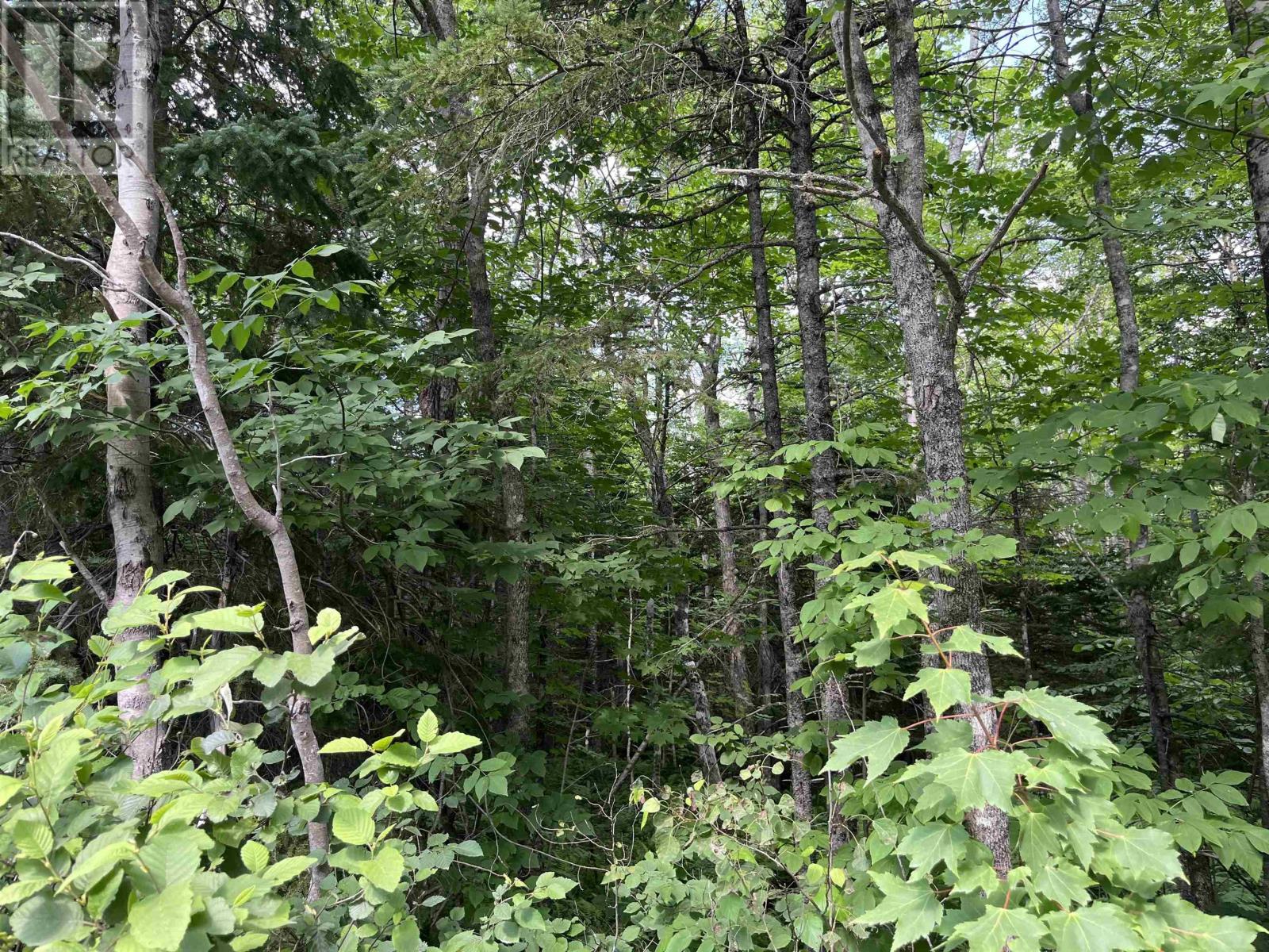 2 Lot 2 Butler Road Road, forest home, Nova Scotia