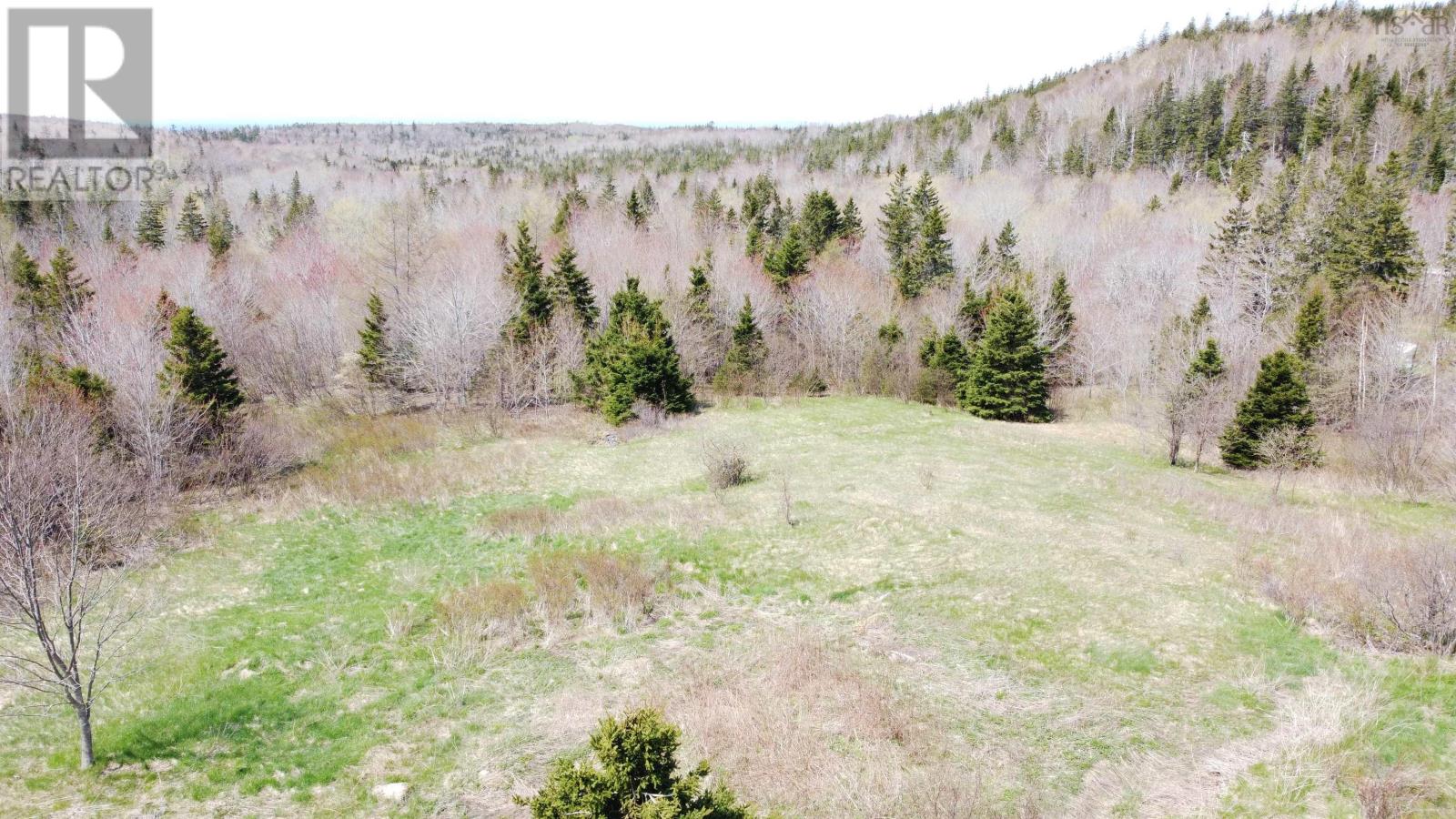 Lot 1 River Denys Mountain Road, Rear Judique, Nova Scotia  B0E 1P0 - Photo 1 - 202310676