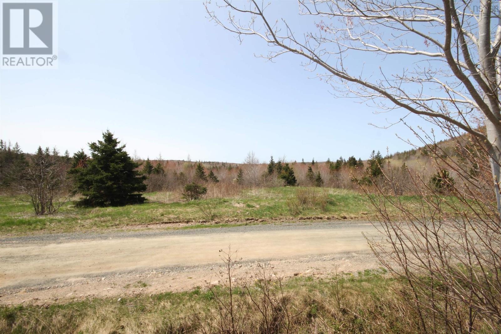 Lot 1 River Denys Mountain Road, Rear Judique, Nova Scotia  B0E 1P0 - Photo 10 - 202310676