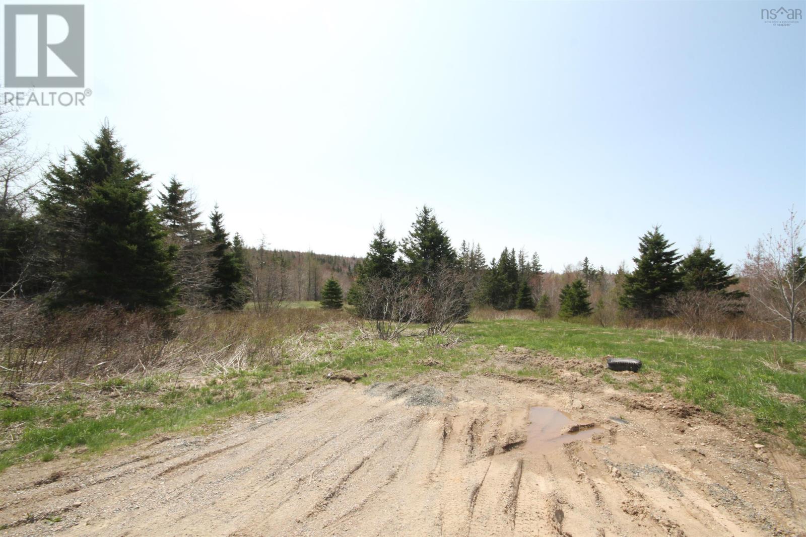 Lot 1 River Denys Mountain Road, Rear Judique, Nova Scotia  B0E 1P0 - Photo 11 - 202310676